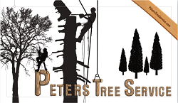 Peter' Tree Service - Beaverton and Portland Oregon